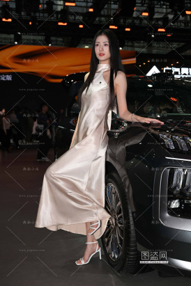 优雅端庄的长裙车模