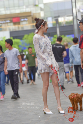 编码0388花色短裤美腿凉高丸子头